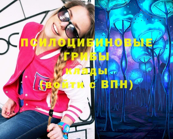 mix Горняк