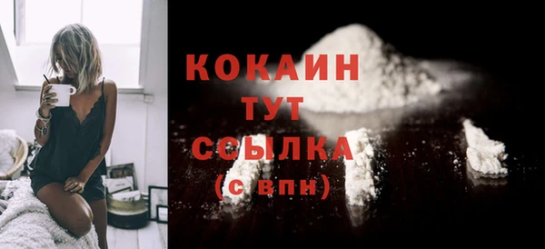 дживик Горнозаводск