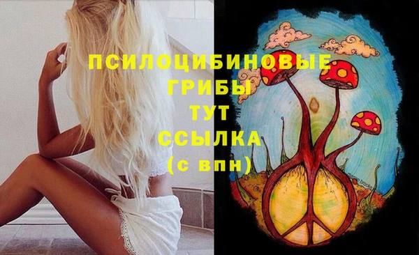 mix Горняк