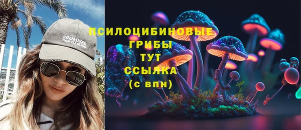 дживик Горнозаводск